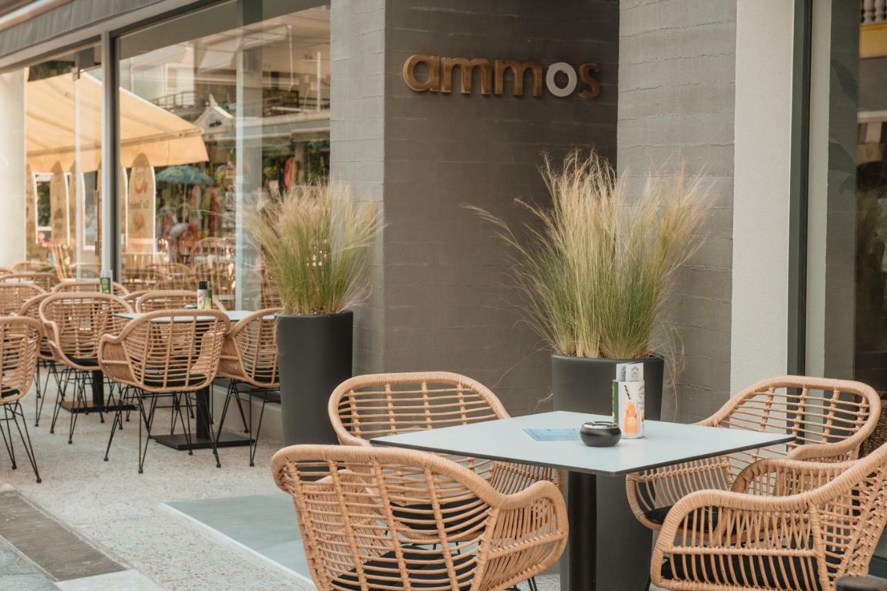 Ammos Beach Seaside Luxury Suites Hotel Olympiakí Aktí Extérieur photo